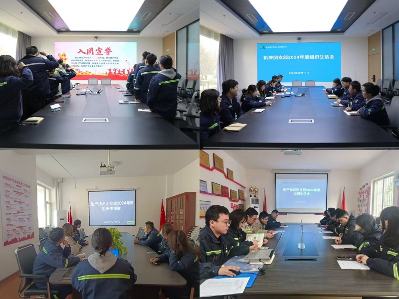 富平公司團(tuán)委開(kāi)展2024年度組織生活會(huì)和團(tuán)員教育評(píng)議工作