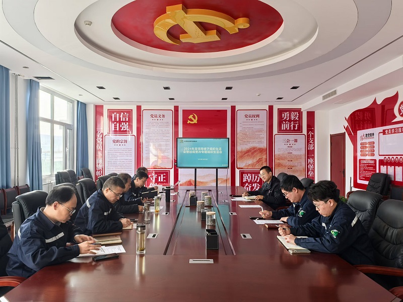 神木恒穩(wěn)公司黨支部召開2024年度領(lǐng)導(dǎo)班子組織生活會(huì)暨巡視整改專題組織生活會(huì)