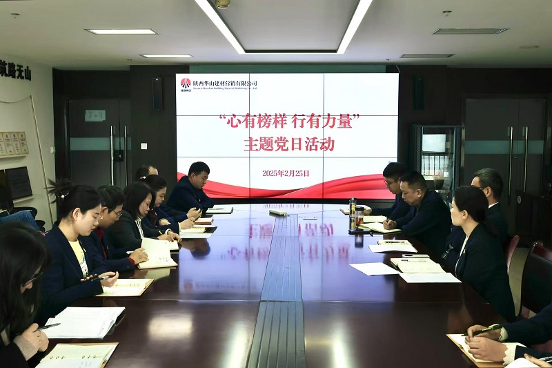 華山營銷公司黨支部開展“心有榜樣 行有力量”主題黨日活動(dòng)