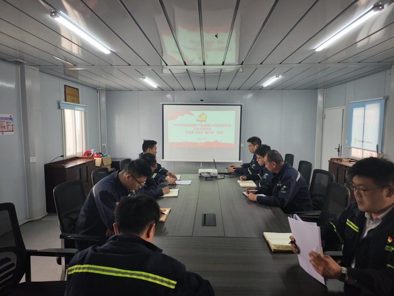 韓城昇隆公司黨支部開展“同心筑夢譜新篇 凝心聚力共提升” 三月主題黨日活動(dòng)