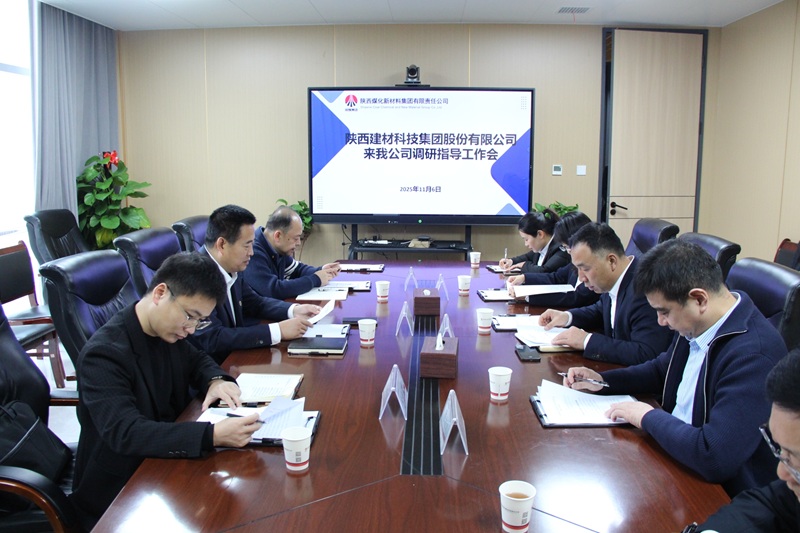 周紅到陜煤新材公司調(diào)研工作